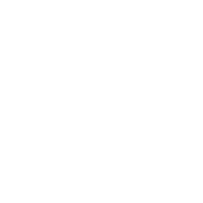 Schneider Logo WHT 01
